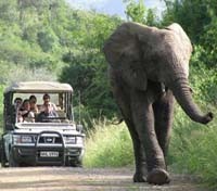 Kruger National Park